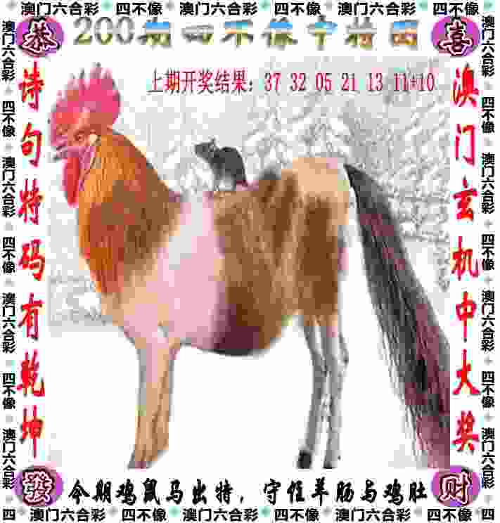 >管家婆中特王中王开+奖